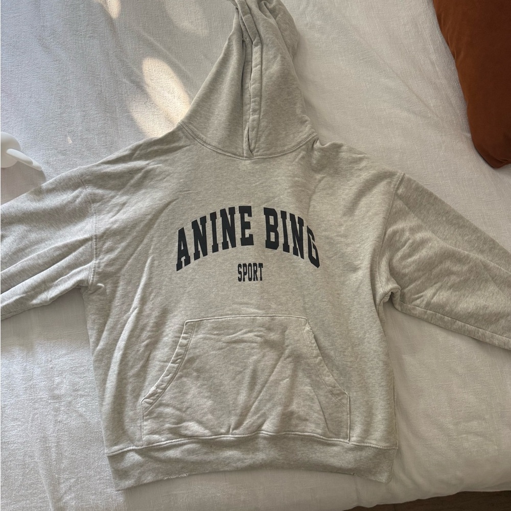 Anine Bing Sport Light Gray Hoodie